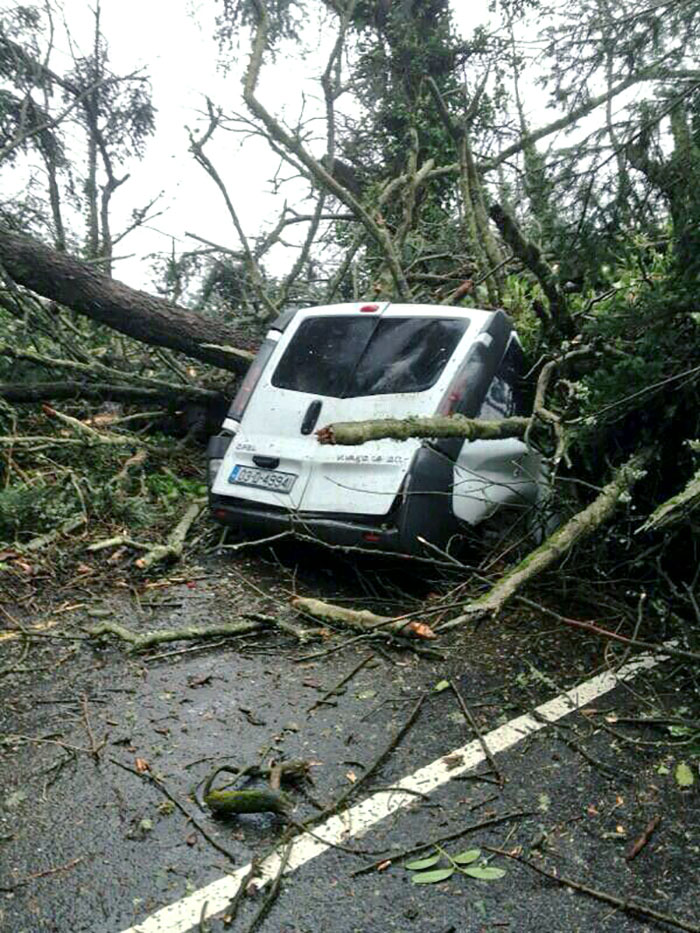 We Are Having A Very Stormy Weather Over Here In Limerick, Ireland. Friend's Van Got Crushed Under A Tree, But Thankfully He Wasn't Injured