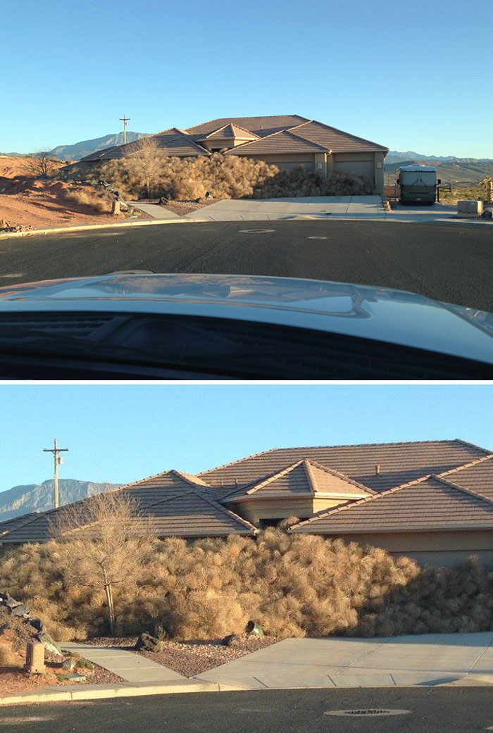 What Happens In Southern Utah After A Wind Storm