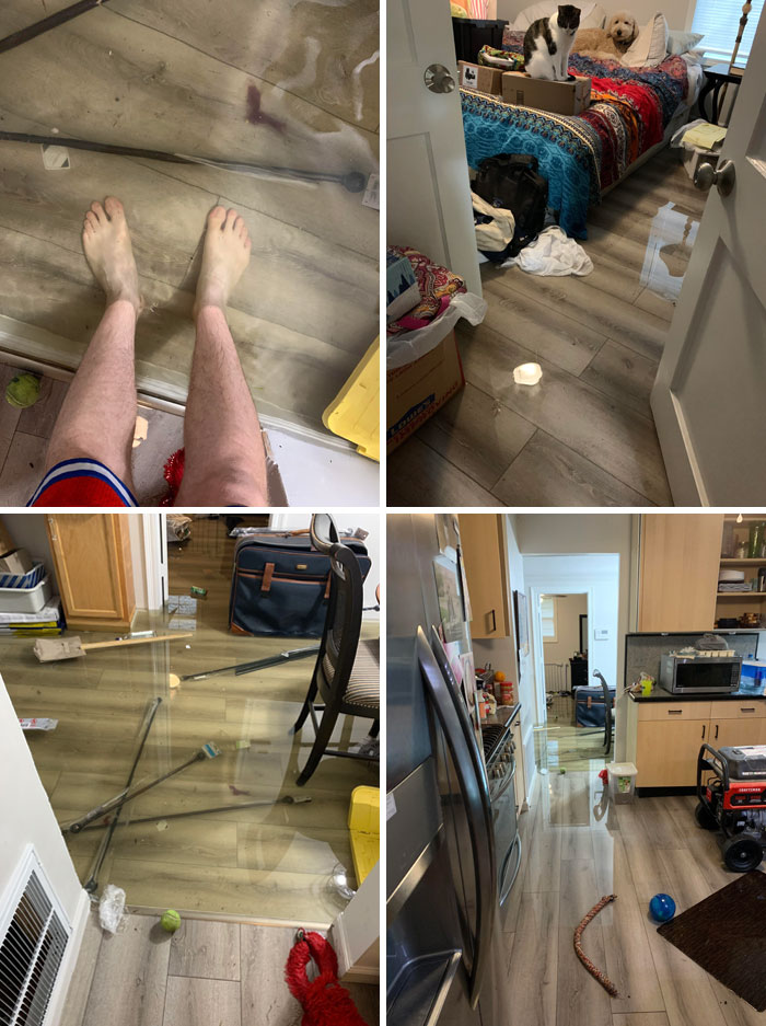 Nearly One Month After Finally Repairing My House From Hurricane Laura, One Of The Worst Rainstorms In 50 Years Hit My Town And Filled My House With Water