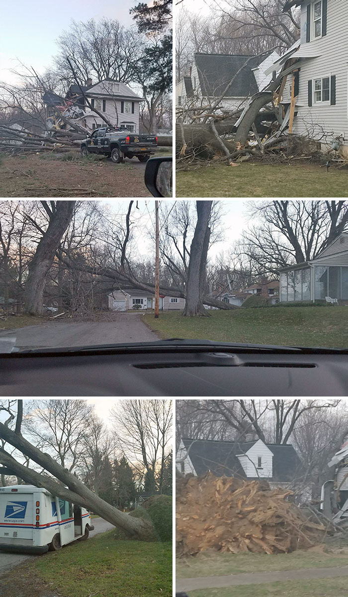 Damage In My Neighborhood From 90 Miles Per Hour Wind Storm In Rochester, NY