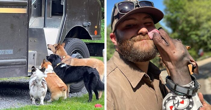 35 Conductores de UPS que tuvieron la suerte de encontrarse con perros en sus rutas, y no nos cansamos de verlos (nuevas fotos)