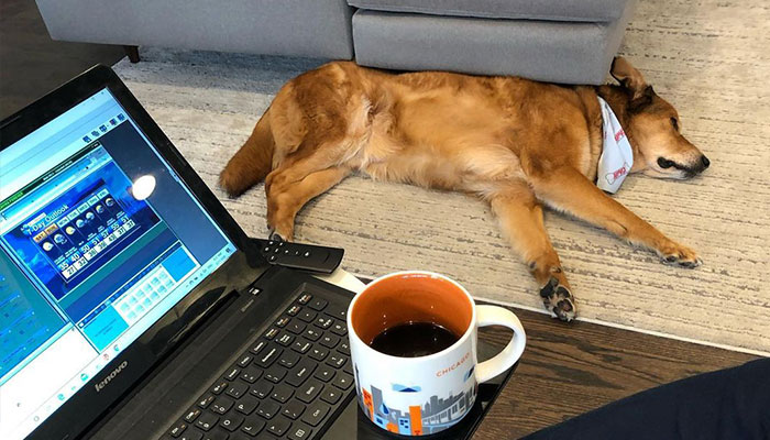 Weatherman Stunned To Discover His TV Is A Touch Screen, And The Internet Can’t Get Enough Weatherman Stunned To Discover His TV Is A Touch Screen, And The Internet Can’t Get Enough