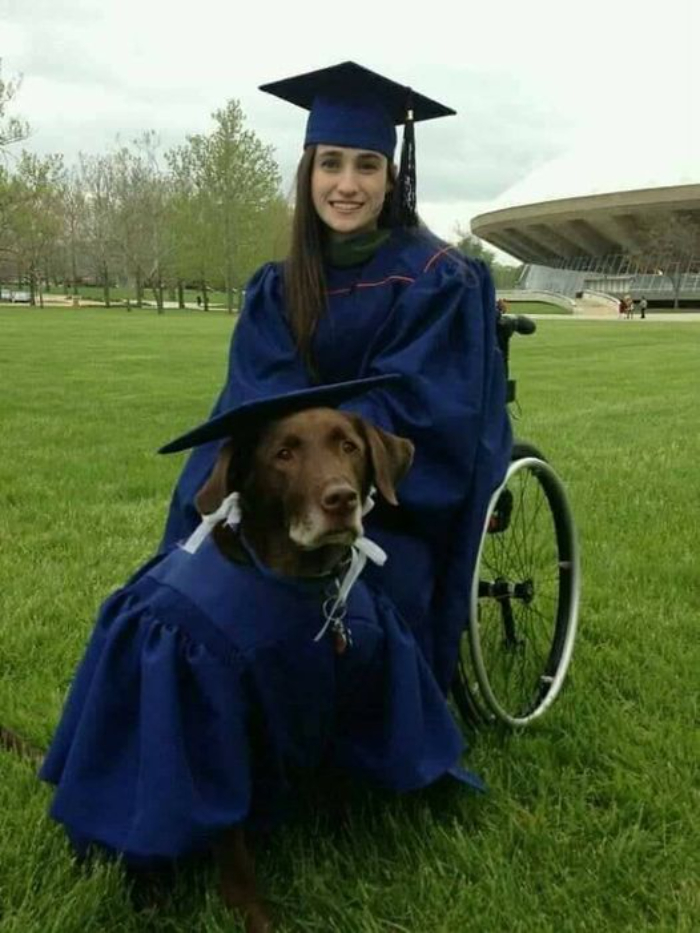 University Of Illinois Awarded An Honorary Degree To Hero, A Service Dog Who Attended Each One Of His Owner's Classes
