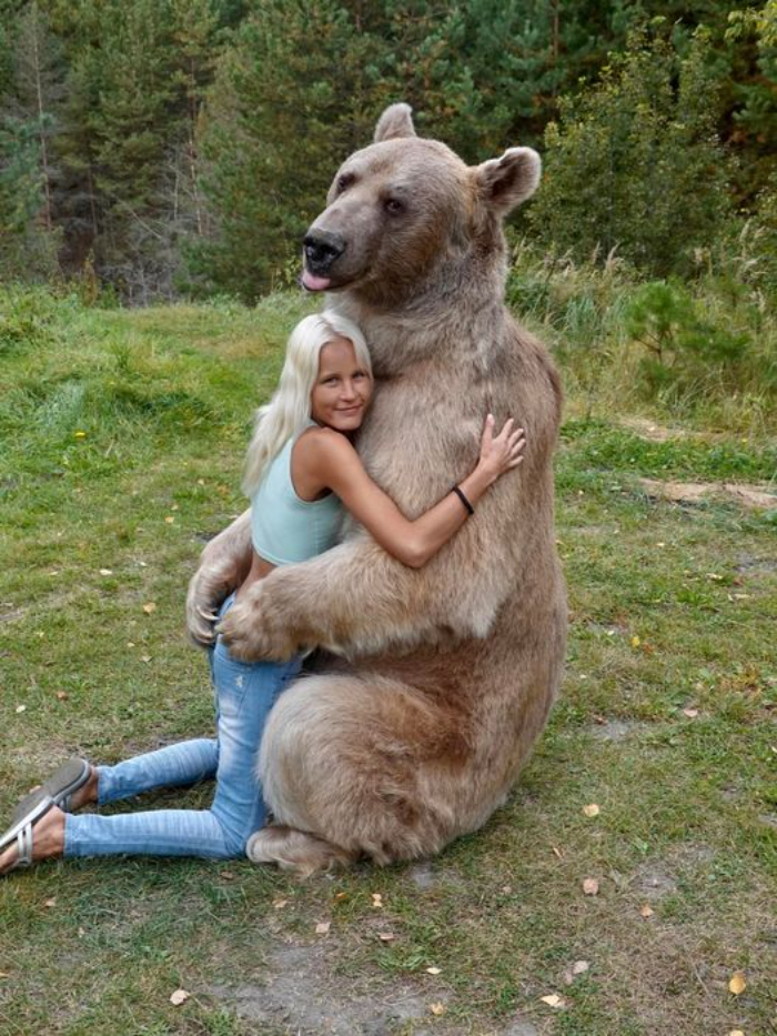 Good To See Goldilocks Making Things Right With The Bear Family Whose House She Broke Into
