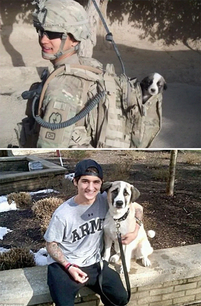 Encontró a este cachorro extraviado durante el combate. Después de mucha lucha lo llevó a los EE.UU. para que pasen toda la vida juntos