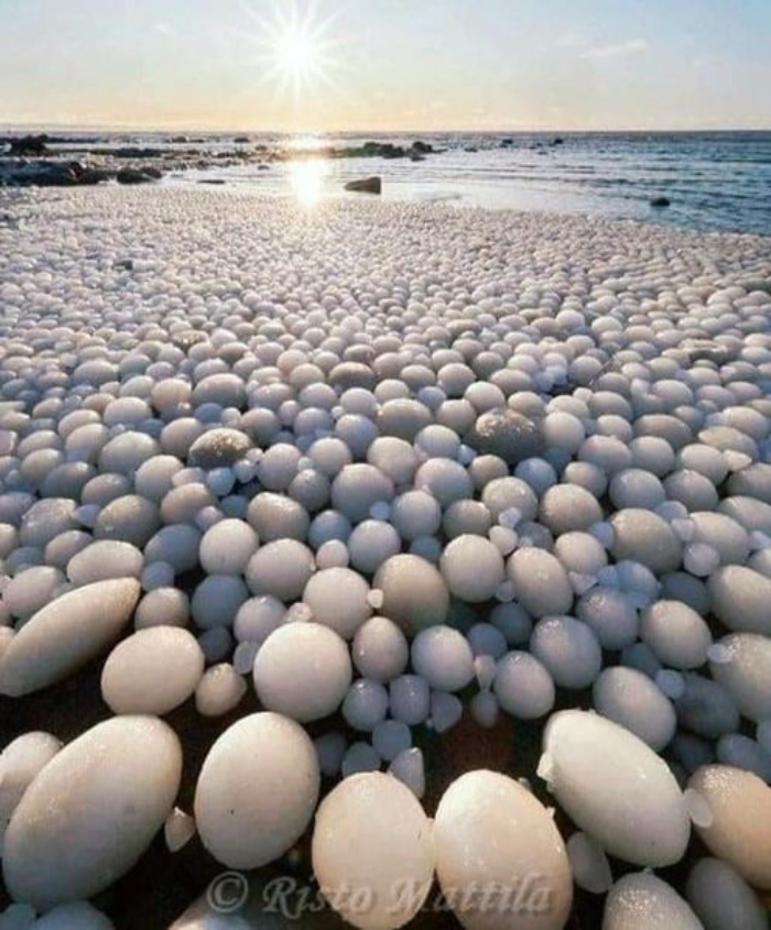 Huevos de hielo, un raro fenómeno que se produce cuando el hielo es arrollado por el viento y el agua Norte de Finlandia