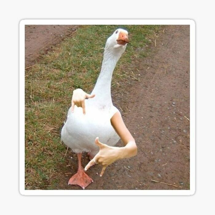 26 Of The Weirdest And Most Funny Images Saved To My Computer. 26 Of The Weirdest And Most Funny Images Saved To My Computer.