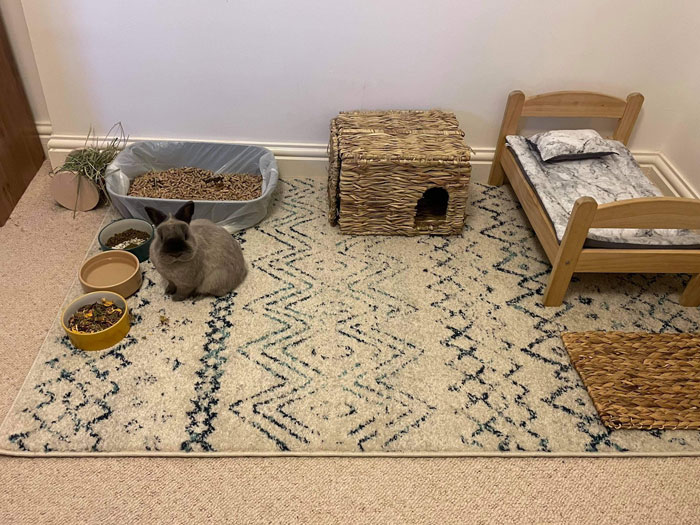 I Sold A Rug To Someone On Marketplace And They Just Sent Me This Picture With The Message "Little Man Is Chuffed"