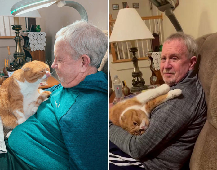 Un gato se niega a abandonar al abuelo que lucha contra el cáncer