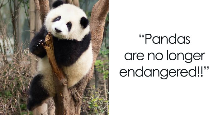 If You’re Tired Of All The Depressing News, These 50 Wholesome Stories Might Just Balance Everything Out