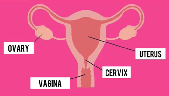 Woman Was Diagnosed With Cervical Cancer 3 Times And Shares The Hard And Joyous Days She Has On TikTok Woman Was Diagnosed With Cervical Cancer 3 Times And Shares The Hard And Joyous Days She Has On TikTok