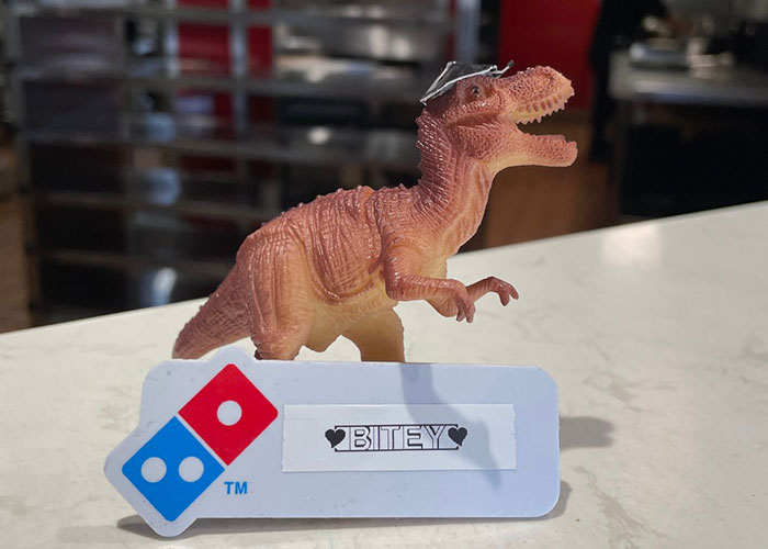 Domino’s Staff Make A Lost Toy Dino An Employee For The Night Until Its Family Come To Bring It Home