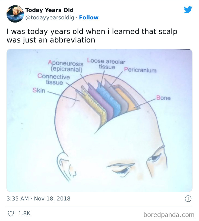 I-Was-Today-Years-Old-When-I-Learned