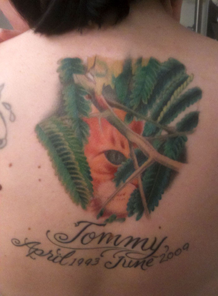 cat hiding behind the tree branches tattoo 