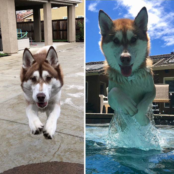 Love Taking Action Shots Of My Girl