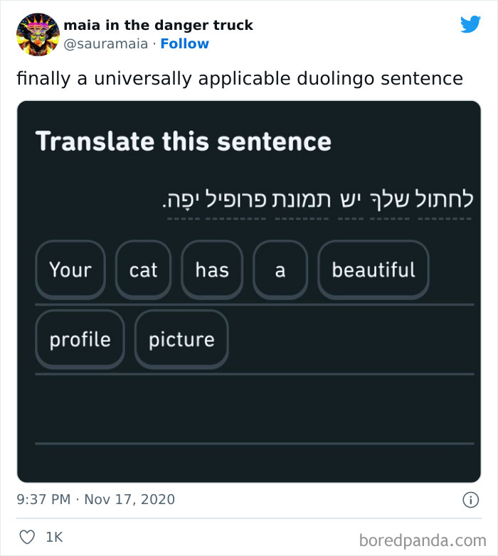 Funny Duolingo Sentences