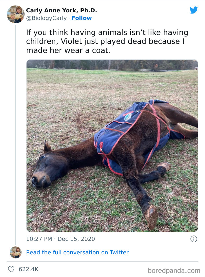 Very-Important-Positivity-Posts