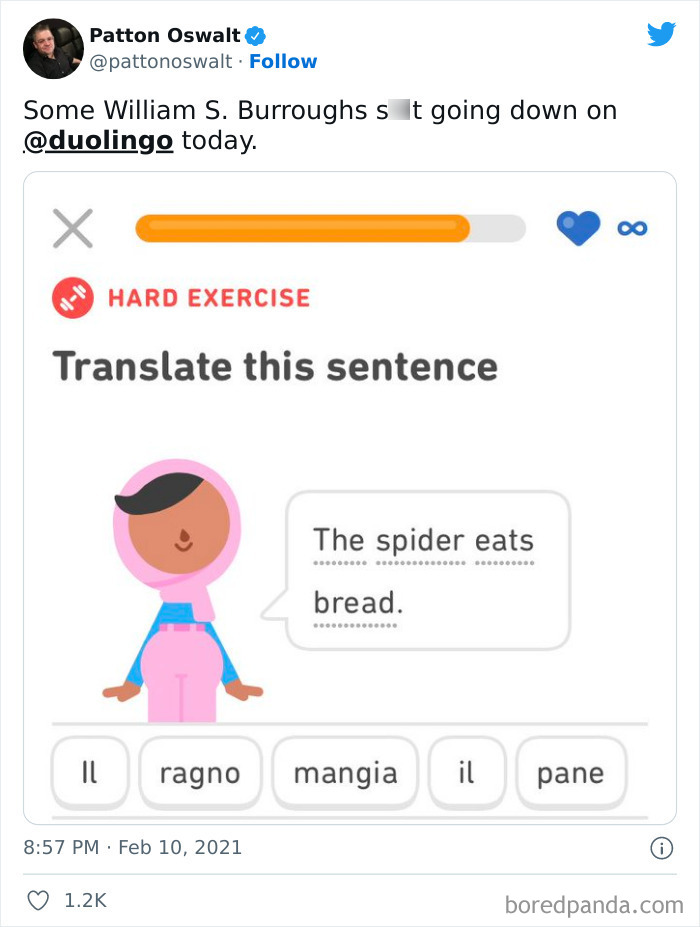 Funny Duolingo Sentences