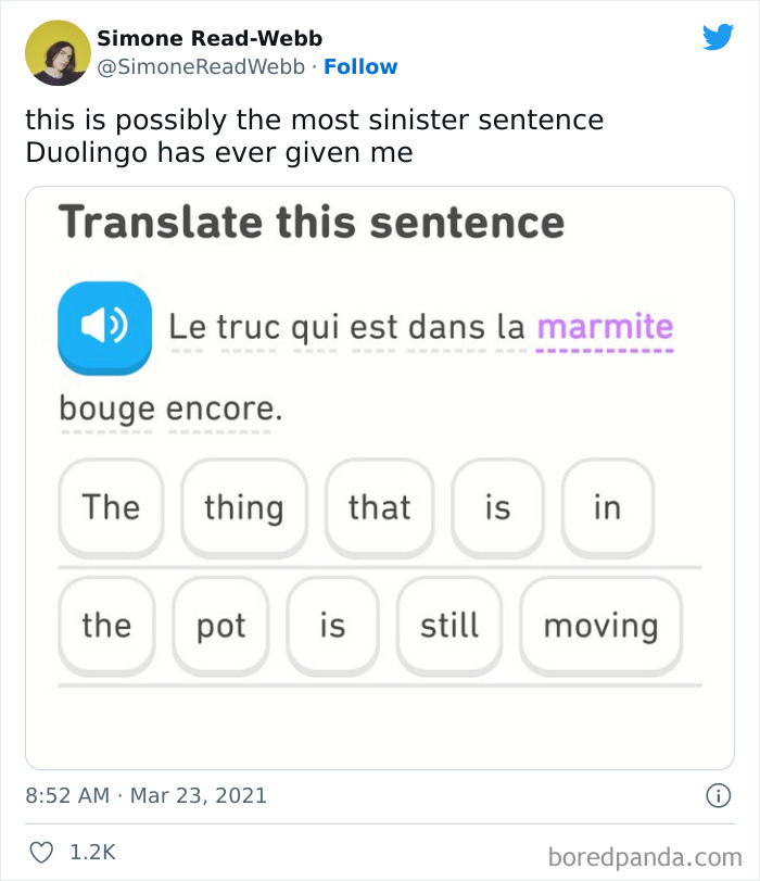 Funny Duolingo Sentences
