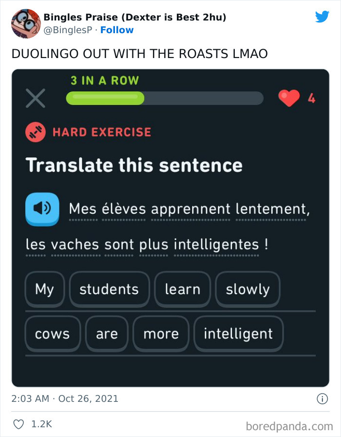Funny Duolingo Sentences