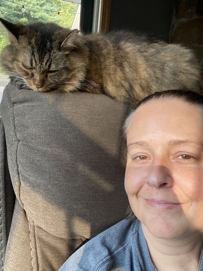 Marshmallow My Sons Evil Cat And I