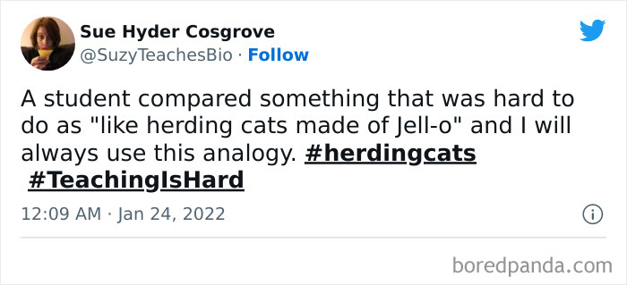 Funny-Tweets-From-Teachers