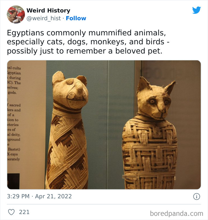 Weird History Tweets