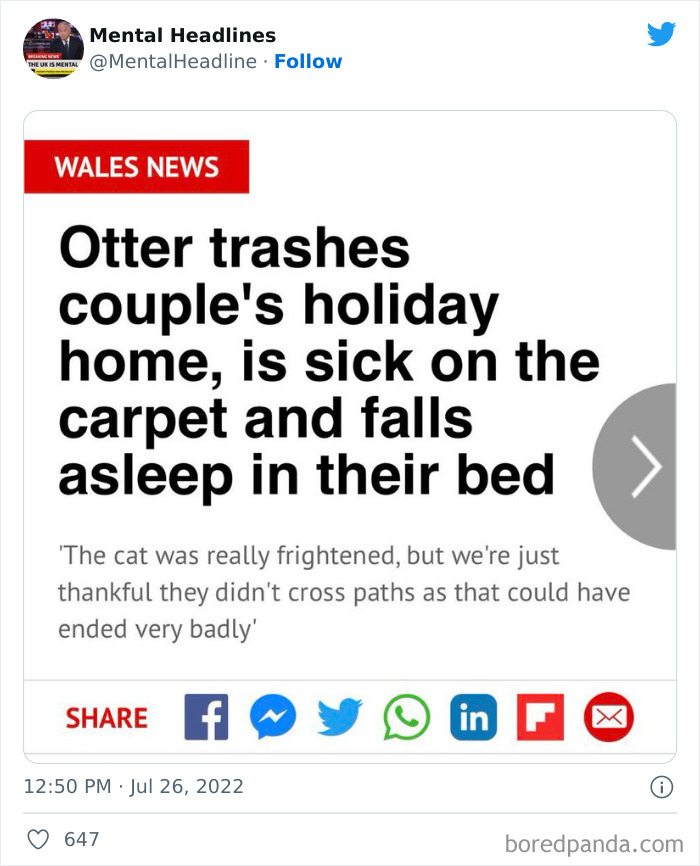 This Twitter Page Collects 50 Of The Funniest News Headlines Ever This Twitter Page Collects 50 Of The Funniest News Headlines Ever