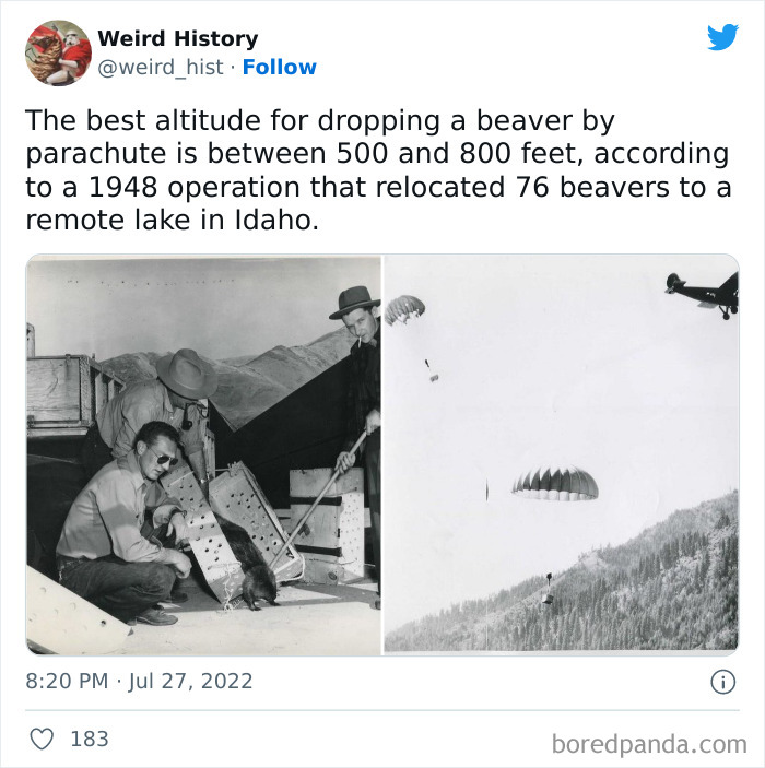 Weird History Tweets
