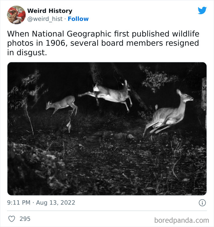 Weird History Tweets