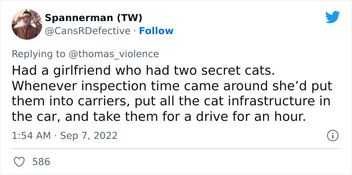 Man Finds Out Everyone In His Apartment Building Has A Cat Even Though It’s Not Allowed, People Are Sharing Their Pet Hiding Stories