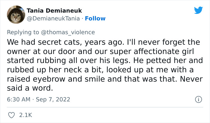Man Finds Out Everyone In His Apartment Building Has A Cat Even Though It’s Not Allowed, People Are Sharing Their Pet Hiding Stories