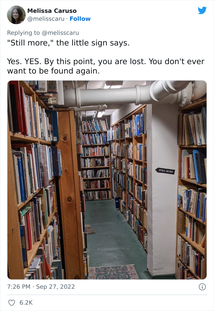 20 Pics From A “Labyrinthine Magical Bookstore That You Might Have Thought Only Existed In The Stories”, As Shared In This Twitter Thread 20 Pics From A “Labyrinthine Magical Bookstore That You Might Have Thought Only Existed In The Stories”, As Shared In This Twitter Thread