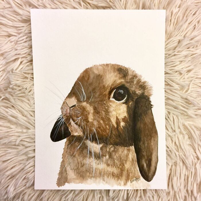 I Create Hyperrealistic Pencil Drawings Of Animals