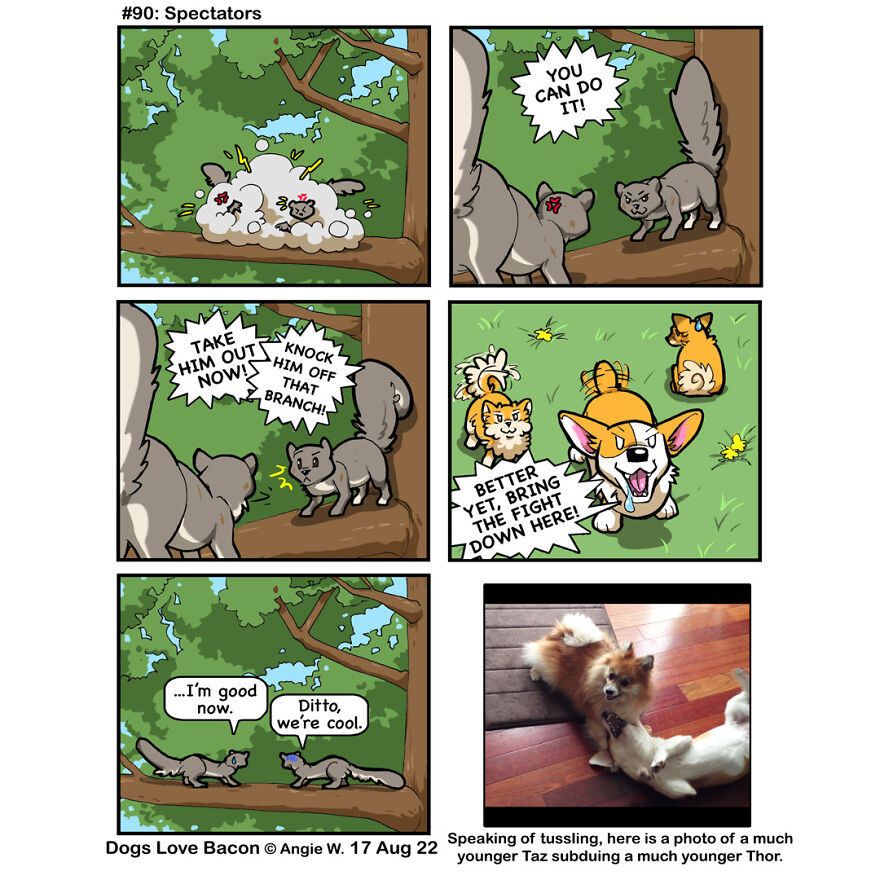 I Draw Comics About My Life With My Rescue Dogs, And Here Are 23 More!