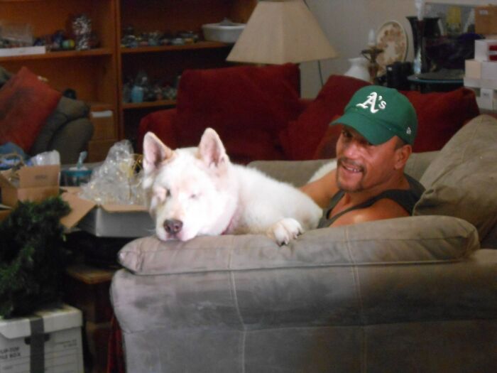 Samedawg And My Ex (On The Right). Same Had To Have His Eyes Removed Due To Severe Glaucoma. He Passed When He Was Almost 9, Due To The Strains On His Body Of His Neurological Disease. A Fabulous Akita