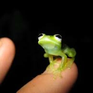 josephinegerard avatar