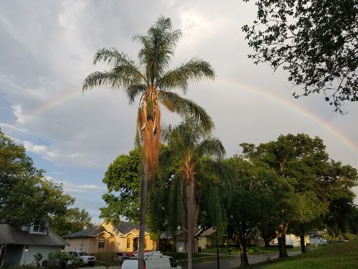 Captured This Rainbow That Wal All They Across The Sky From My Driveway