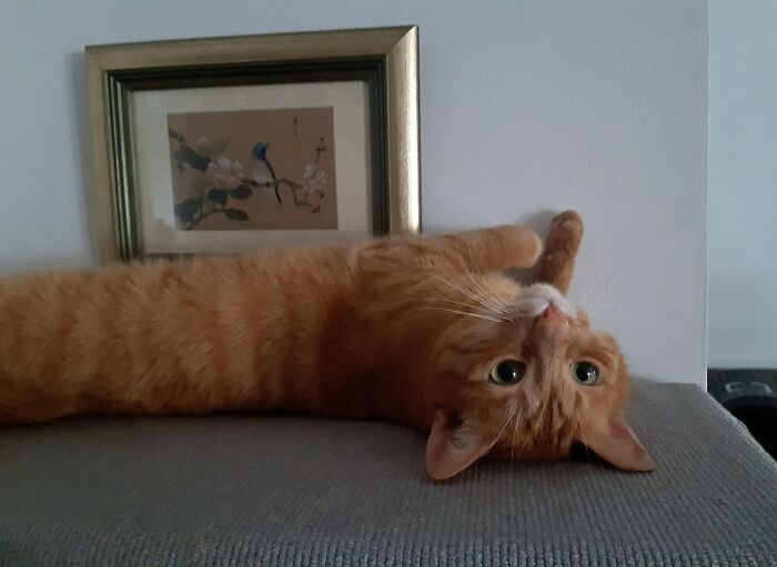 I Like That Upside Down Look The Most 🥰