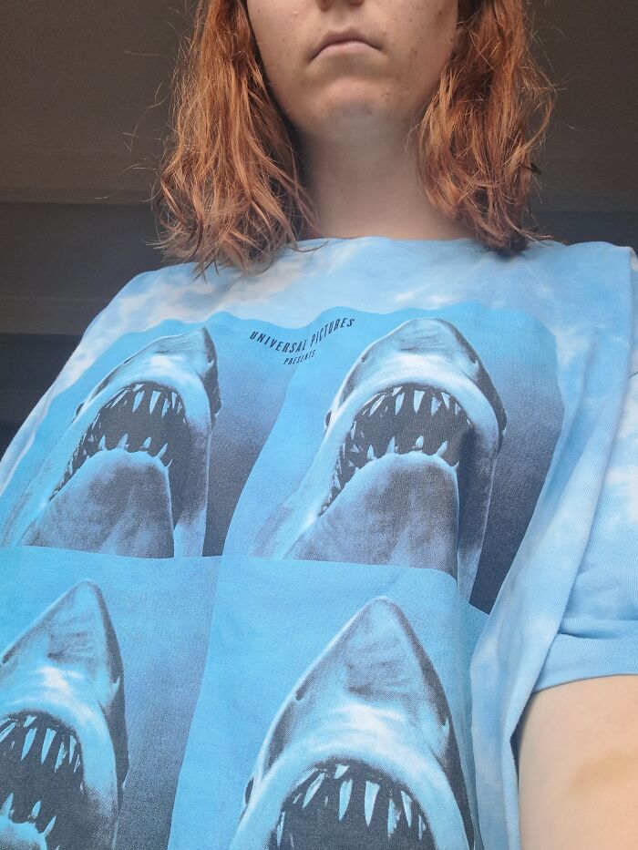 I Just Walked My Dogs In Pouring Rain, While Wearing A Jaws Shirt