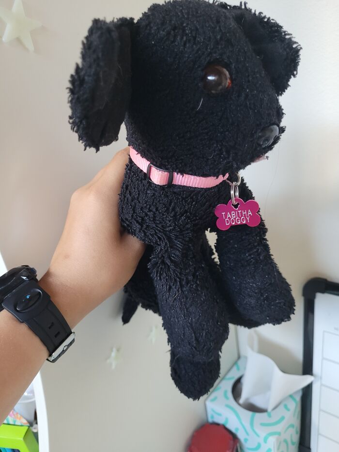 This Is Tabitha Dog (Or Tatta Doggy As My Younger Self Knew Her) Anyway Its A Stuffed Animal I Got For Christmas 