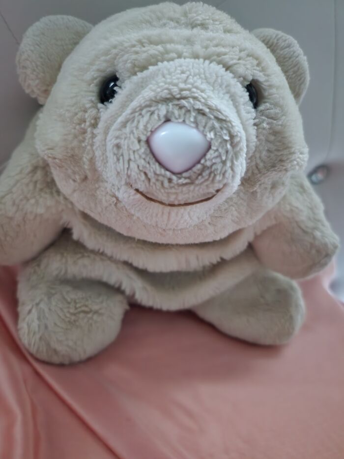 Baby A.k.a. Snuffles Is 42 Yrs Old & Still With Me Every Night