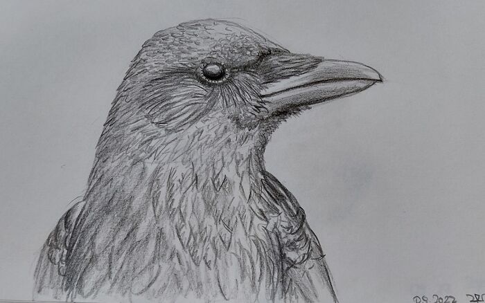 A Crow. (Black Crayon. Done While Driving In The Subway)