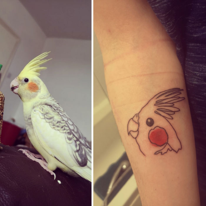 Tribute Tattoo To Baby Azura Our Cockatiel