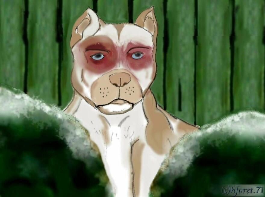 My Animal Comic Introducing A Pitbull Character Named "King", Part 1 (9 Pics)