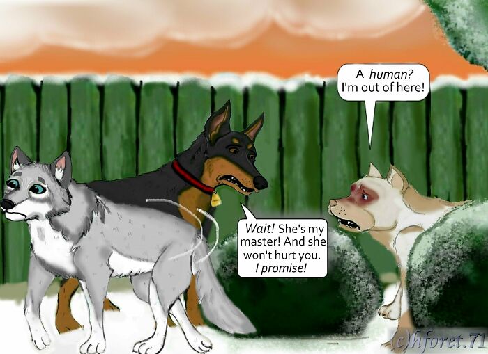 My Animal Comic Introducing A Pitbull Character Named “King”, Part 2 (8 Pics)