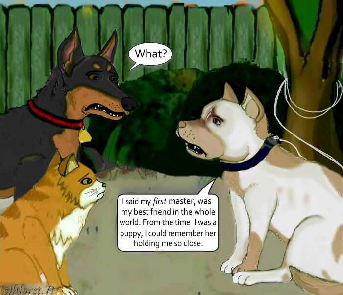 My Animal Comic Introducing A Pitbull Character Named “King”, Part 4 (12 Pics) My Animal Comic Introducing A Pitbull Character Named “King”, Part 4 (12 Pics)