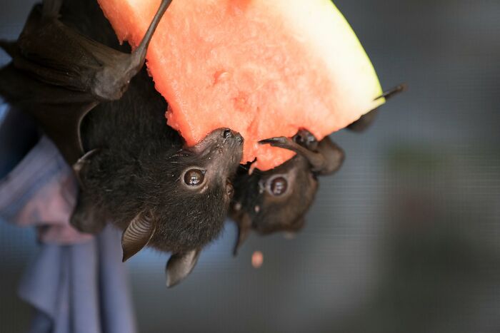 Perfect For A Hot Summer Day