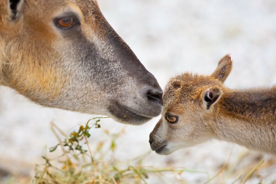 10 Of My Best Photographs Taken In The Last 3 Months