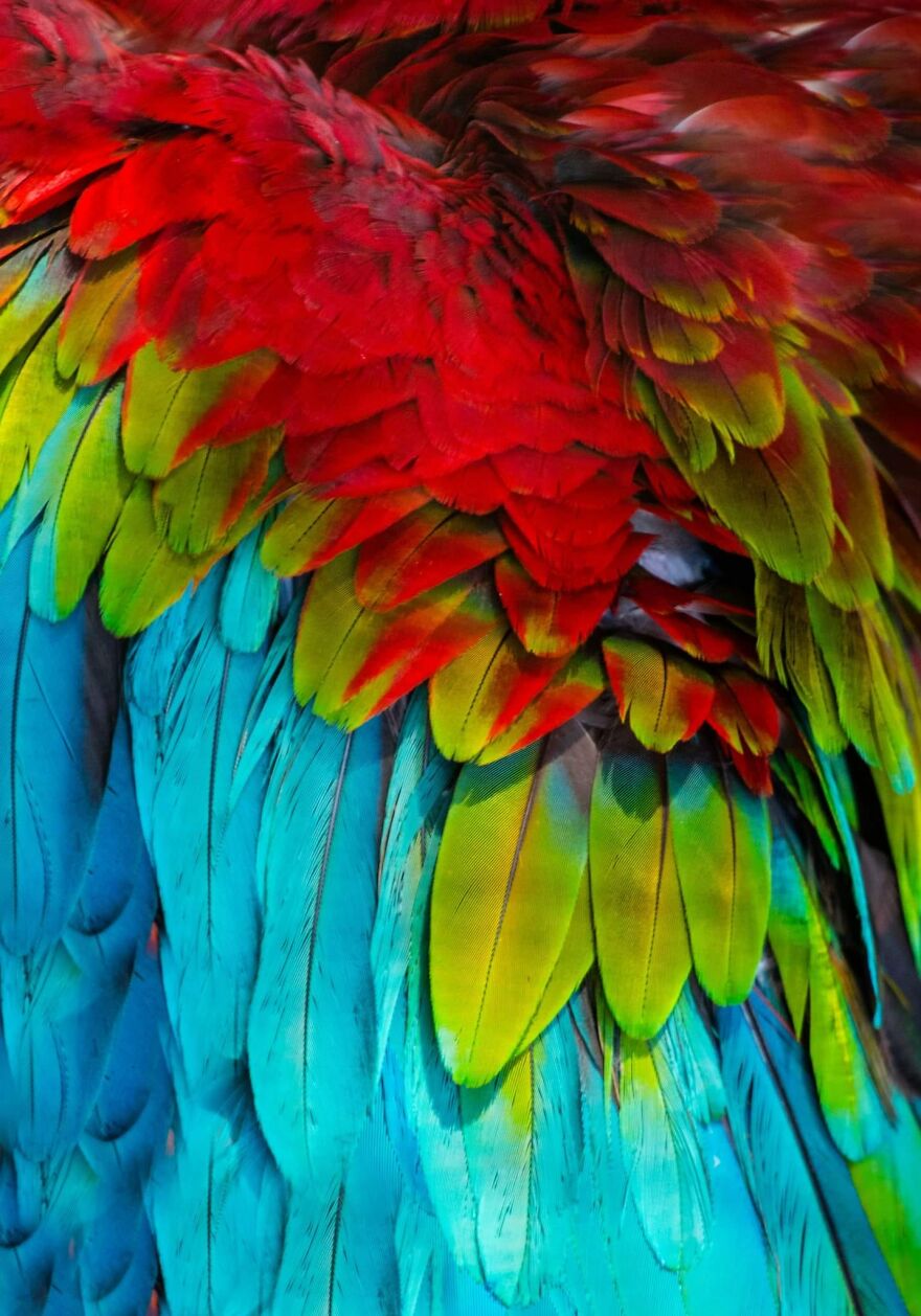 10 Of My Best Photographs Taken In The Last 3 Months